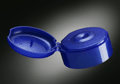 flip cap mold