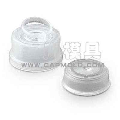 infusion mold