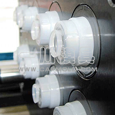 infusion mold