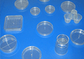 petri dishes mold