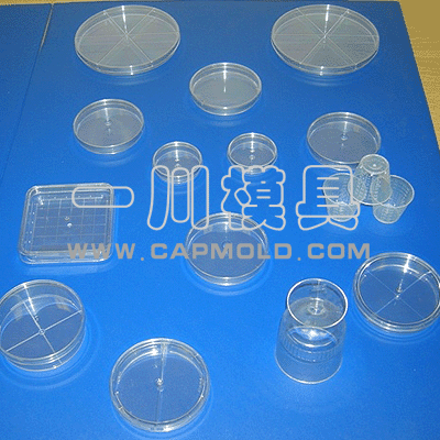 petri dishes mould
