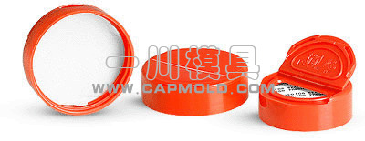 spice bottle cap